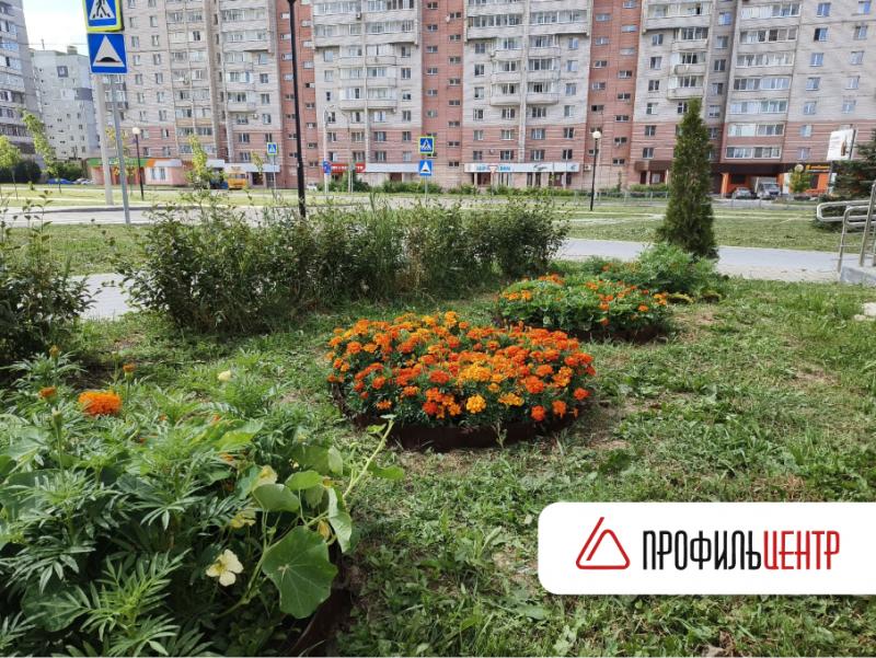 ПрофильЦентр участвует в благоустройстве Череповца!